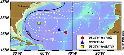 TAG Plume: Revisiting the Hydrothermal Neodymium Contribution to Seawater